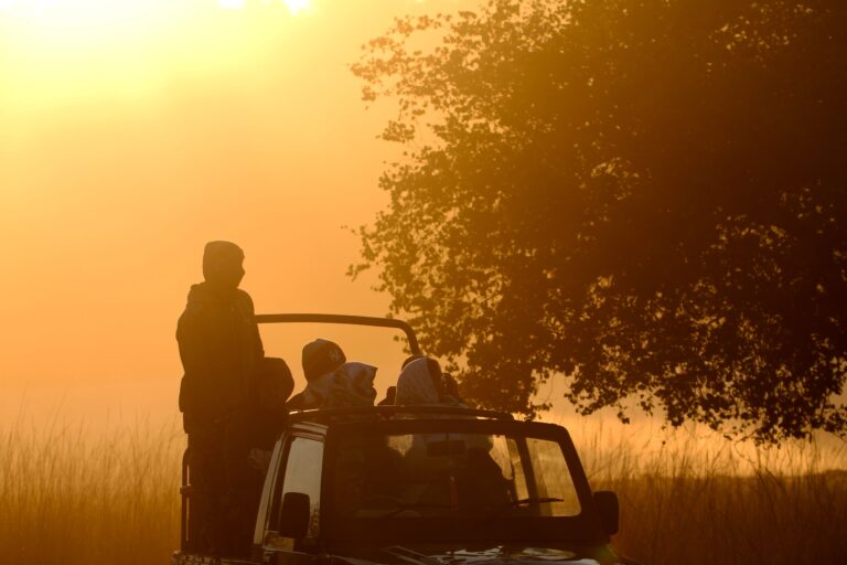 Best Tour Operator for The Ranthambhore Safari Tours – Explore the Wild Like Never Before!